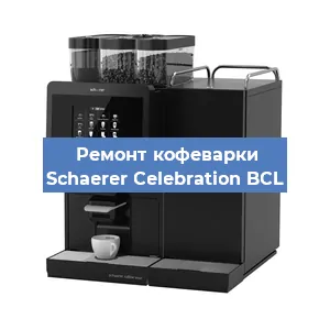 Декальцинация кофемашины Schaerer Celebration BCL в Белгороде